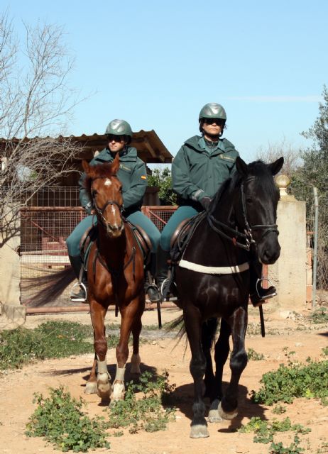 La Guardia Civil refuerza los servicios con el Escuadrón de Caballería - 3, Foto 3