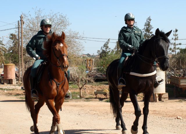 La Guardia Civil refuerza los servicios con el Escuadrón de Caballería - 4, Foto 4