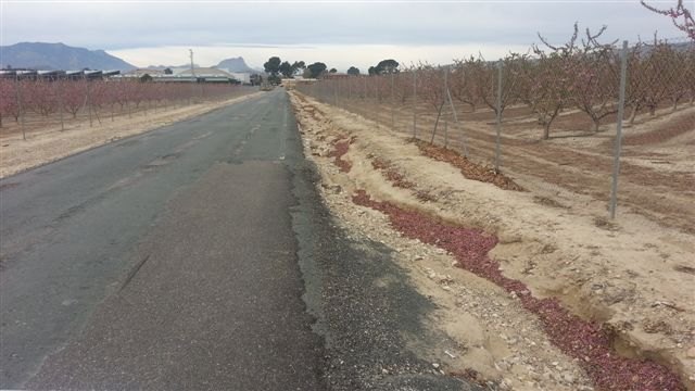 La Comunidad mejora la seguridad vial de la carretera que comunica la Estación de Blanca y la pedanía molinense de La Hurona - 1, Foto 1