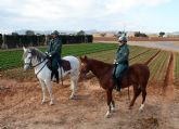 La Guardia Civil refuerza los servicios con el Escuadrn de Caballera
