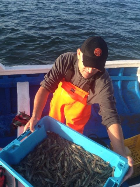 La pesca del langostino alcanza las mayores capturas de la campaña de otoño - 5, Foto 5