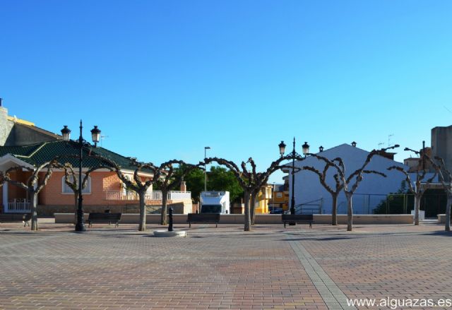 El Ayuntamiento de Alguazas acomete la poda de un millar de moreras del municipio - 1, Foto 1