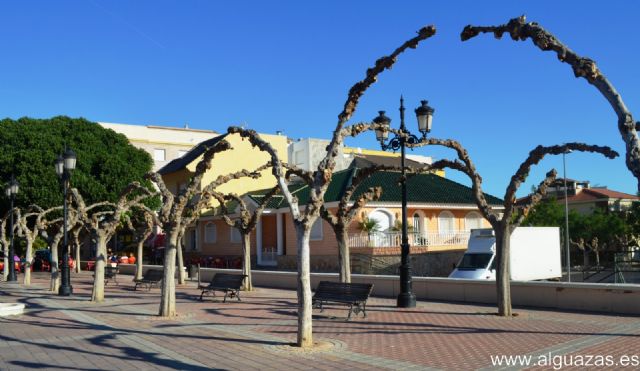 El Ayuntamiento de Alguazas acomete la poda de un millar de moreras del municipio - 2, Foto 2