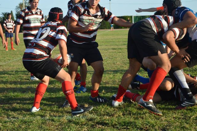 El Club de Rugby Totana lder en todas las categoras - 13