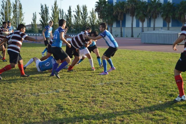 El Club de Rugby Totana lder en todas las categoras - 14