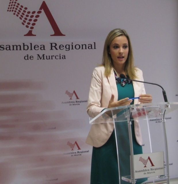 El Grupo Popular propone unidad política y social en materia de discapacidad - 1, Foto 1