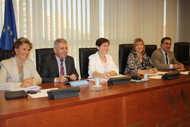 Lorenzo anuncia que en 2015 aumentarán los fondos regionales para atender a personas con Trastorno Generalizado del Desarrollo - 1, Foto 1