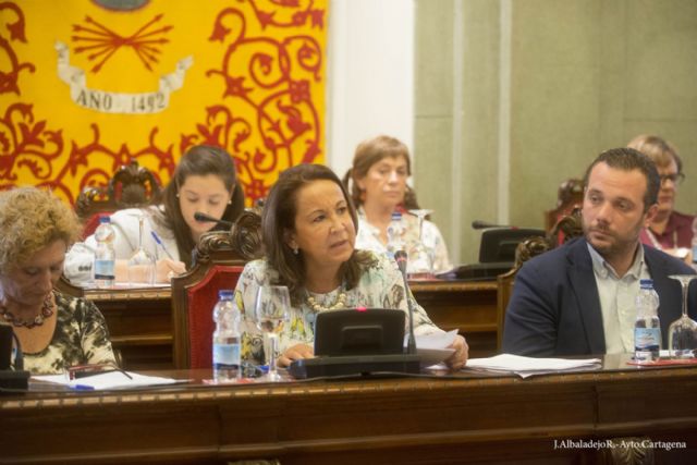 El pleno da luz verda a las Ordenanzas que establecen la congelación de impuestos para 2015 - 2, Foto 2