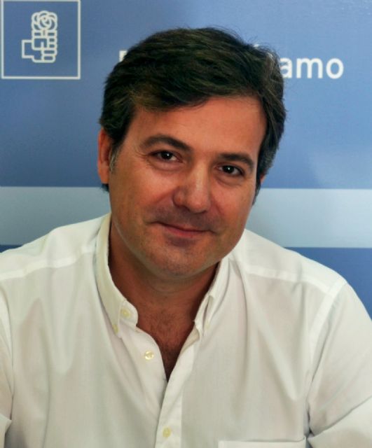 García Conesa repetirá como candidato a la Alcaldía - 1, Foto 1