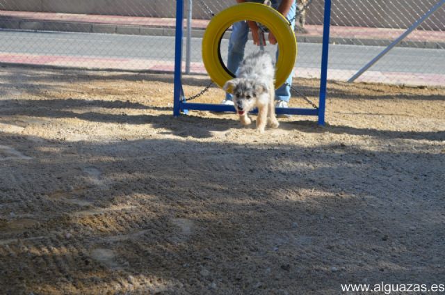 Alguazas estrena su primer pipicán en el Parque San Rafael - 3, Foto 3