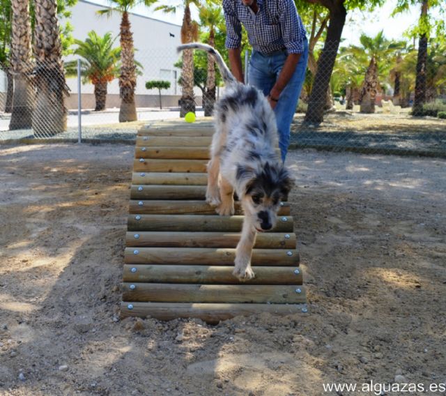 Alguazas estrena su primer pipicán en el Parque San Rafael - 5, Foto 5