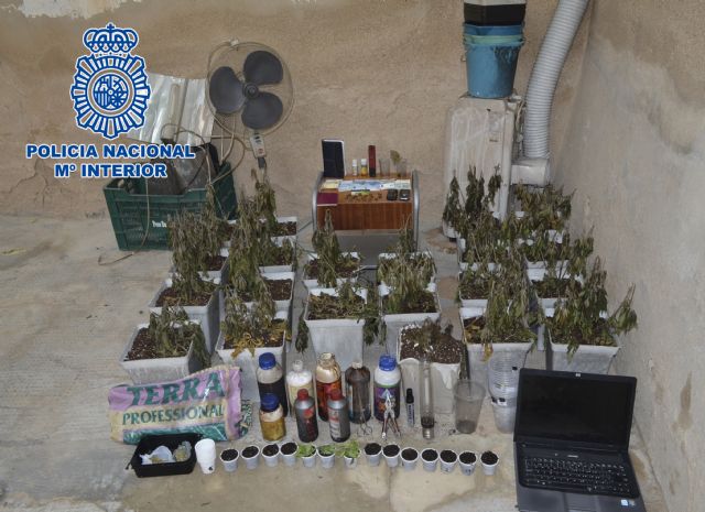 Detenida una persona tras el incendio en su domicilio, que tuvo como origen una plantación de marihuana - 1, Foto 1
