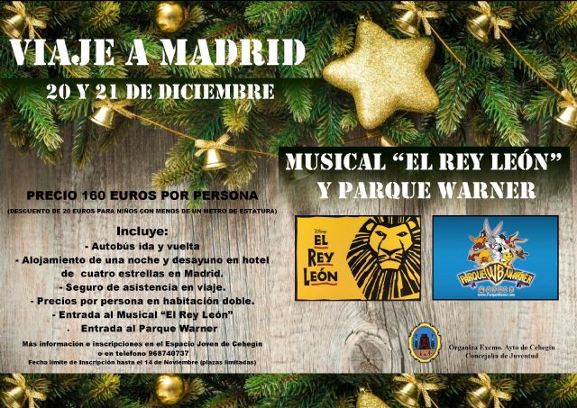 Juventud organiza un viaje a Madrid para ver el musical ´El Rey León´ y visitar el parque Warner - 1, Foto 1