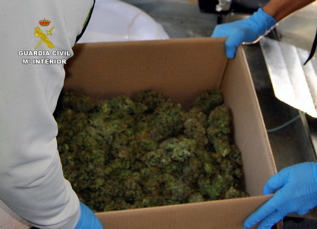 La Guardia Civil desmantela dos activos puntos de distribución de droga, en Abarán y Archena - 4, Foto 4