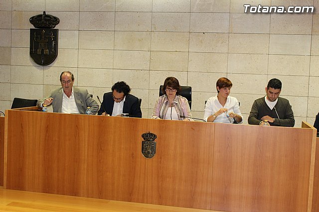 El Pleno aprueba un Manifiesto con motivo del Día Internacional para la Eliminación de la Violencia contra la Mujer, Foto 1