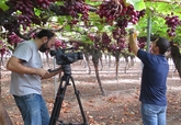 El Ministerio de Agricultura elige Murcia para grabar un vídeo divulgativo sobre el uso sostenible de productos fitosanitarios
