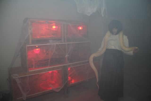 Un recorrido terrorífico por la Casa de los Duendes con el 'Baile de las Ánimas' congregó a centenares de persona durante el fin de semana - 2, Foto 2