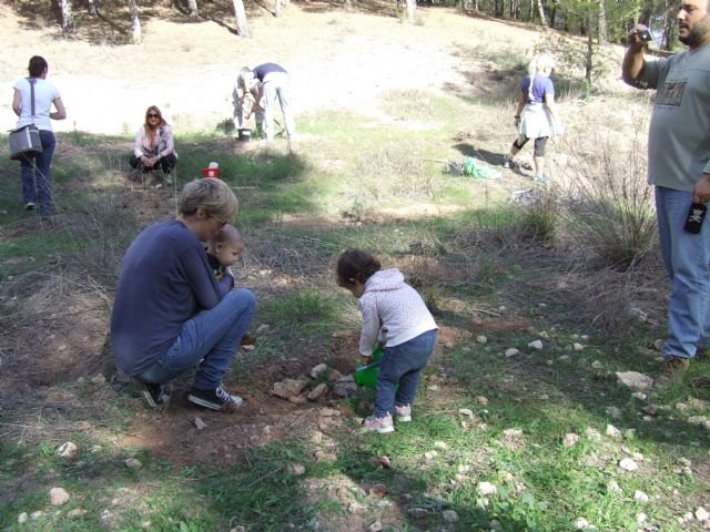 Quince familias participan en una plantación de pinos en El Valle en el marco de la actividad ´Tener un hijo y plantar un árbol´ - 1, Foto 1