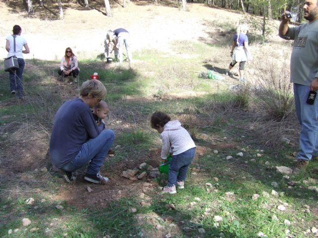 Quince familias participan en una plantación de pinos en El Valle en el marco de la actividad ´Tener un hijo y plantar un árbol´ - 1, Foto 1