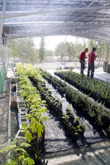 Un total de 15 vecinos de Lorquí finalizan su formación como auxiliares de viveros y jardines - 3, Foto 3