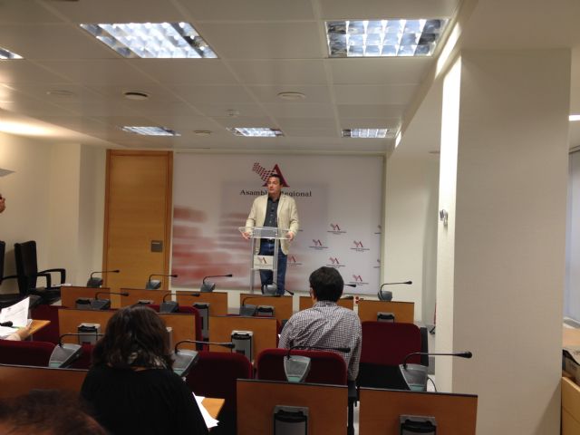 Pujante asegura que el presupuesto de Sanidad y Política Social representa el expolio de lo público - 1, Foto 1