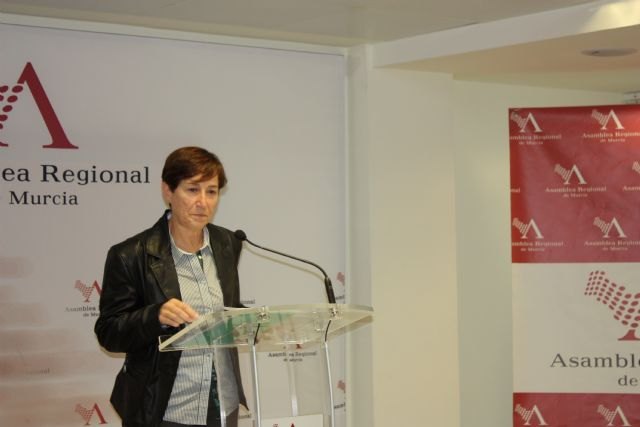 Sanidad construirá un nuevo edificio de consultas externas para el Morales Meseguer - 1, Foto 1