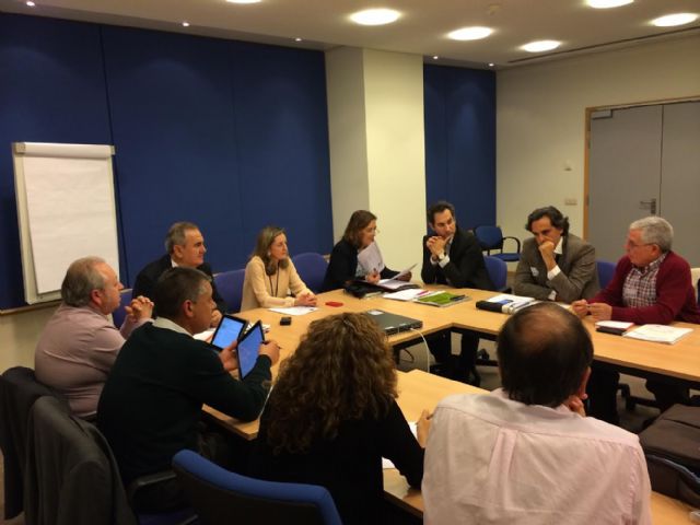 González Tovar incide en Bruselas sobre la reindustrialización de la Región y el apoyo a las energías renovables - 2, Foto 2