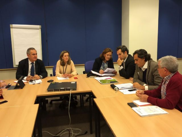 González Tovar incide en Bruselas sobre la reindustrialización de la Región y el apoyo a las energías renovables - 3, Foto 3