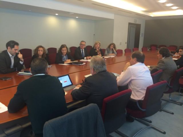 González Tovar incide en Bruselas sobre la reindustrialización de la Región y el apoyo a las energías renovables - 4, Foto 4