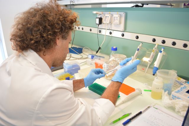 Un 86% de los ingenieros agrónomos de la UPCT encuentran trabajo en un año tras acabar la carrera - 1, Foto 1