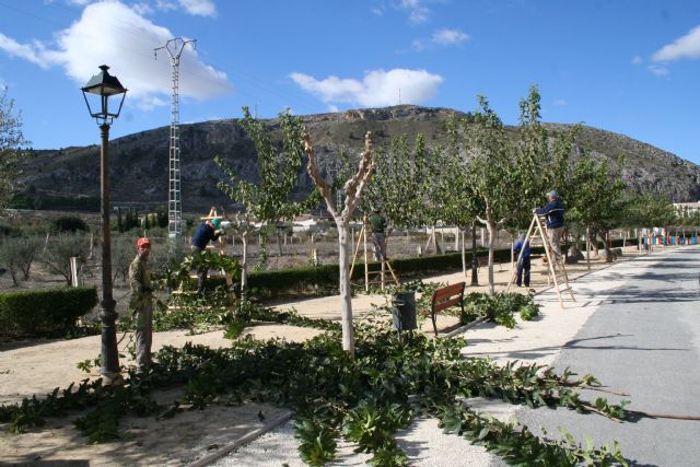 Parques y Jardines trabaja en la campaña de poda y cuidados del arbolado previa al invierno - 2, Foto 2