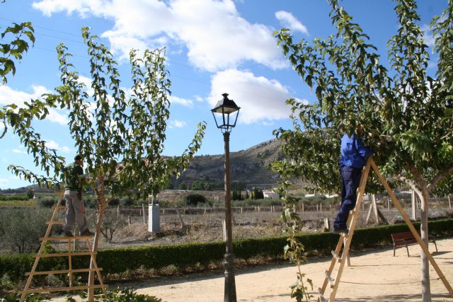 Parques y Jardines trabaja en la campaña de poda y cuidados del arbolado previa al invierno - 3, Foto 3