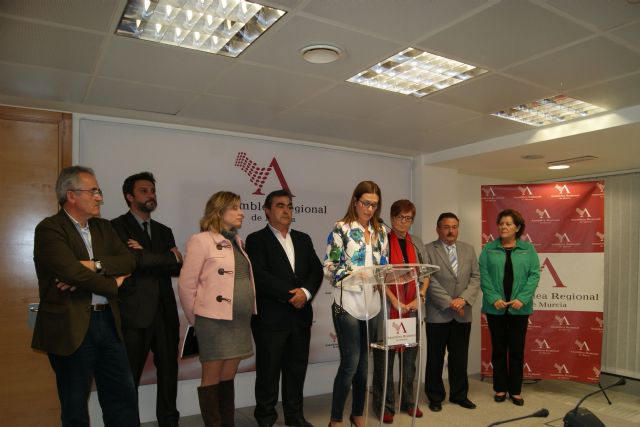 El PSOE afirma que la actual legislatura será recordada por los recortes, la indignación y el sufrimiento de la Comunidad educativa - 1, Foto 1