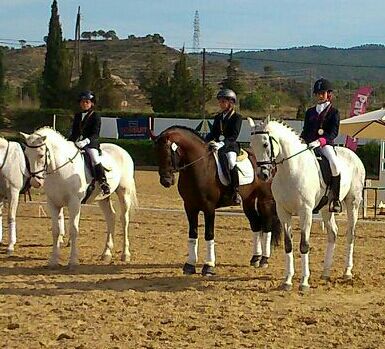 La totanera Mari Carmen Tudela Soto subi al podium en el Campeonato de Doma Clsica de la Regin de Murcia - 2