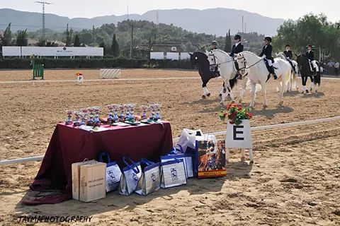 La totanera Mari Carmen Tudela Soto subi al podium en el Campeonato de Doma Clsica de la Regin de Murcia - 15