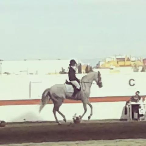 La totanera Mari Carmen Tudela Soto subi al podium en el Campeonato de Doma Clsica de la Regin de Murcia - 16