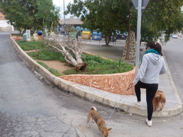 IU-verdes exige el inmediato arreglo de una plaza de barrio Peral abandonada desde hace años - 1, Foto 1