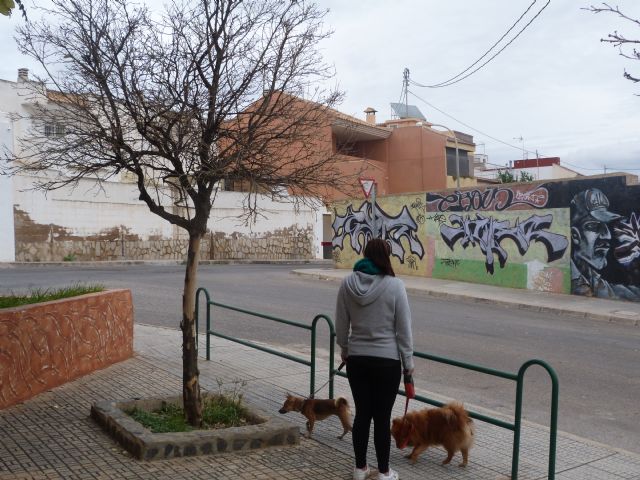IU-verdes exige el inmediato arreglo de una plaza de barrio Peral abandonada desde hace años - 4, Foto 4