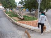 IU-verdes exige el inmediato arreglo de una plaza de barrio Peral abandonada desde hace años