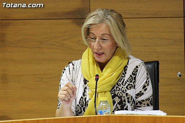 Muñiz pide rigor ante el equipo de Gobierno con un no rotundo al simulacro de Plan General, Foto 1