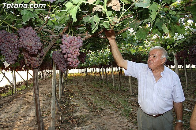 Denuncian el incumplimiento por la alcaldesa del convenio por el que se volvía a pagar el IBI rústico para destinarlo al pago de la guardería rural, Foto 1