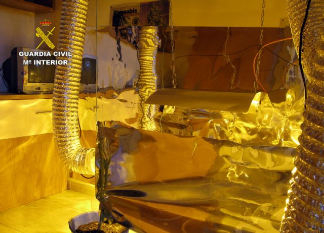 La Guardia Civil desmantela dos puntos de venta de marihuana en San Javier - 3, Foto 3