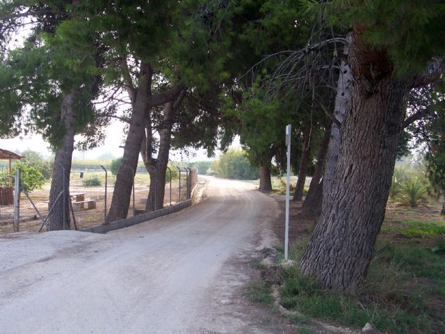 El Ayuntamiento torreño mejora seis kilómetros de caminos rurales en el municipio - 4, Foto 4