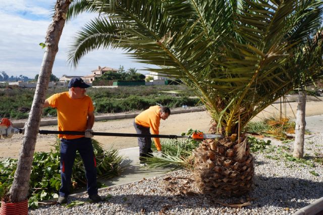 Comienzan en Ceutí las obras de reparación de los parterres del carril bici y de varios parques - 1, Foto 1