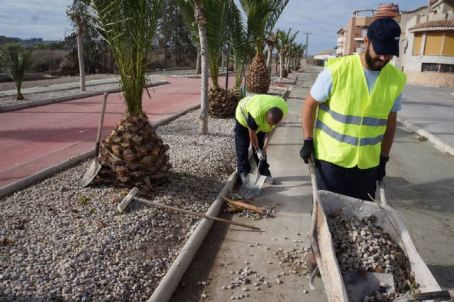 Comienzan en Ceutí las obras de reparación de los parterres del carril bici y de varios parques - 2, Foto 2