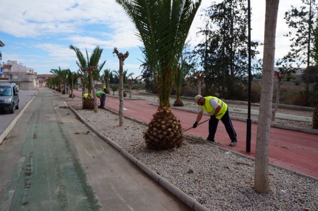 Comienzan en Ceutí las obras de reparación de los parterres del carril bici y de varios parques - 3, Foto 3