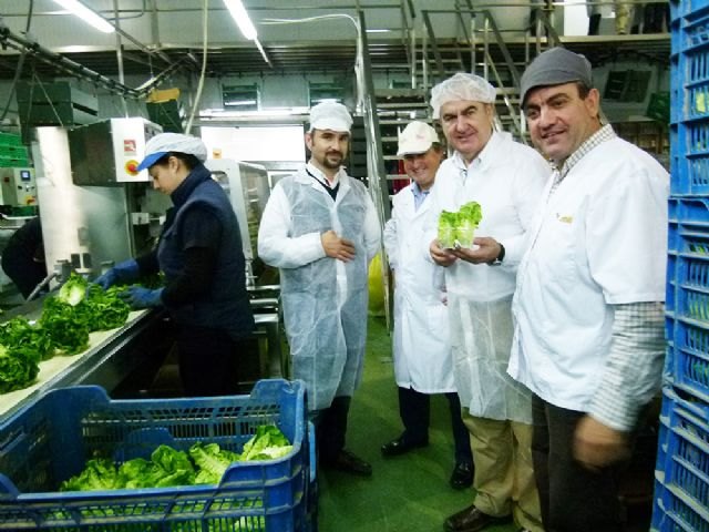 González Tovar elogia el trabajo del sector agroalimentario, que ha conseguido ser un gran motor económico regional - 1, Foto 1