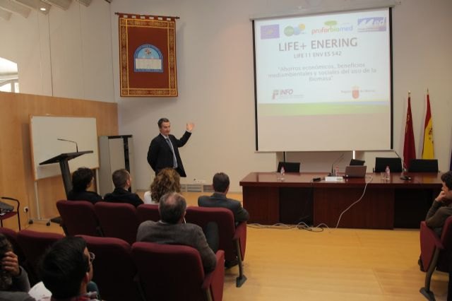 Expertos en biomasa concluyen que la explotación de esta energía puede crear 270 empleos directos - 1, Foto 1