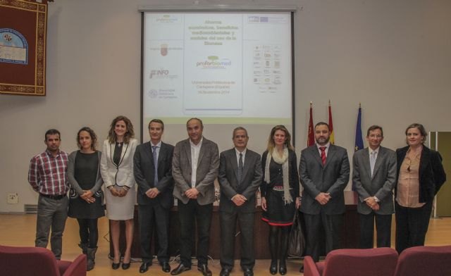 Expertos en biomasa concluyen que la explotación de esta energía puede crear 270 empleos directos - 2, Foto 2