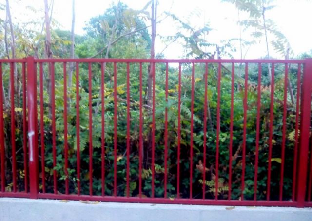 UPyD Murcia pide celeridad para solucionar el problema de insalubridad que afecta al CEIP 'El Molinico' en La Alberca - 1, Foto 1